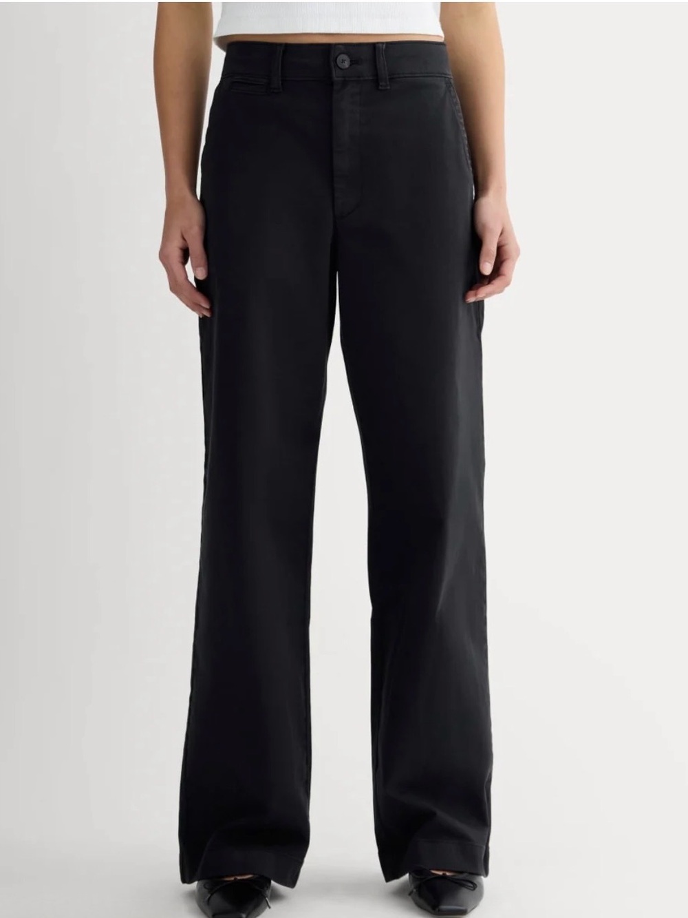 Nwt The Wide-Leg Organic Cotton Chino Pant 10